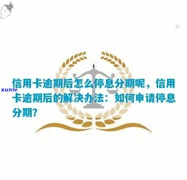 如何申请行用卡停息分期：步骤与注意事项