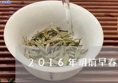 明前春普洱茶是什么