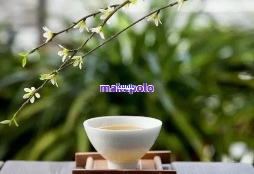 早安普洱茶语：人生经典茶语，简短茶语录大全