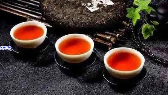 早安普洱茶语：人生经典茶语，简短茶语录大全