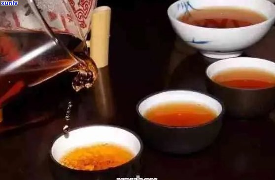 翠绿春芽普洱茶：古诗词中的品茗艺术与文化精髓