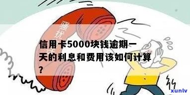 信用卡逾期利息计算：5000元两天的额外费用是多少？