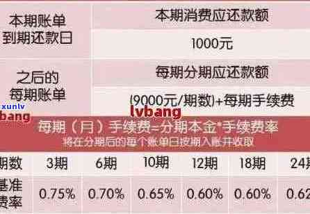 信用卡还款误区揭秘：逾期利息、滞纳金还是本金？