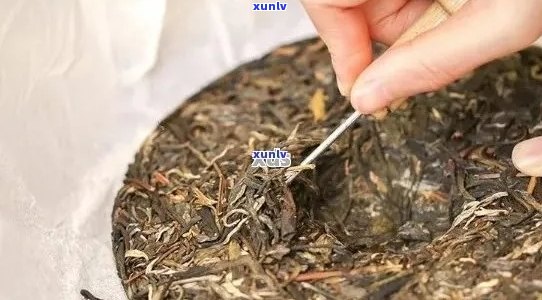 普洱茶饼中发现绳子的原因及解决 *** 