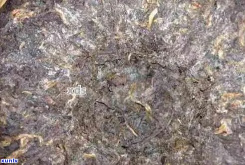 普洱茶饼内有白点颗粒状物：正常现象还是品质问题？