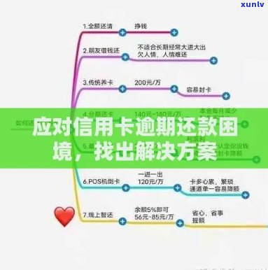 新信用卡逾期后协调还款金额遇到困难，如何解决？