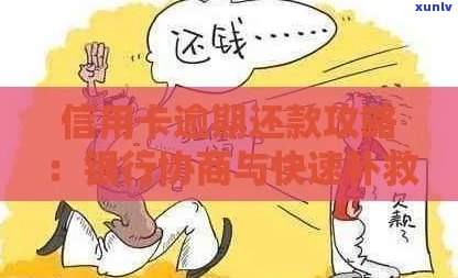 信用卡逾期怎么协调还款