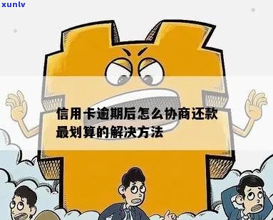 信用卡逾期怎么协调还款