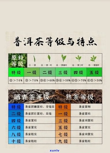 普洱茶的等级划分标准表：价格与品质的关系解析