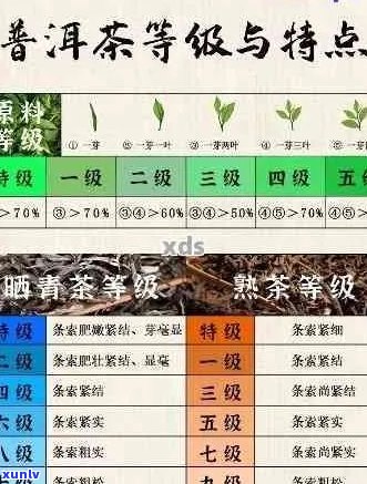 普洱茶品级划分全解：从原料、 *** 工艺到口感等多方面进行详细解析