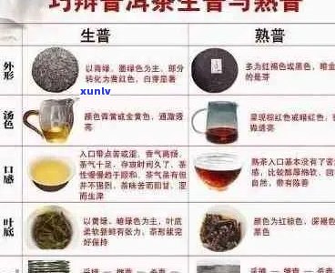 普洱茶级别顺序1-8的含义及其颜色分类