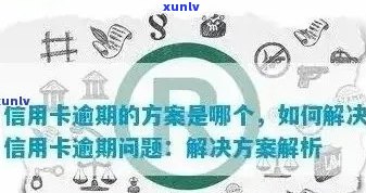 处理信用卡逾期问题的全方位指南：如何在外省应对逾期情况？