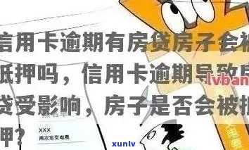 信用卡逾期拍卖商铺会怎么样：处罚及后果解析