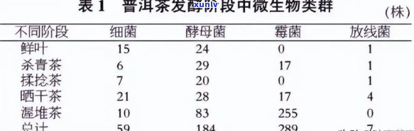 普洱茶发酵微生物的完整参与方式和途径