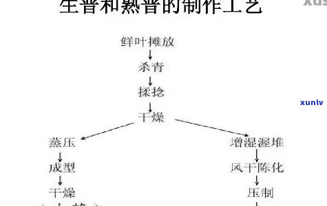 微生物在普洱茶加工中的关键作用与影响