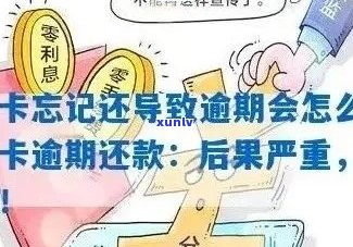 逾期还款信用卡的全面解决策略：如何规划、协商和应对？