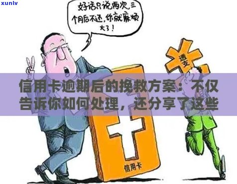 信用卡逾期了怎么挽回