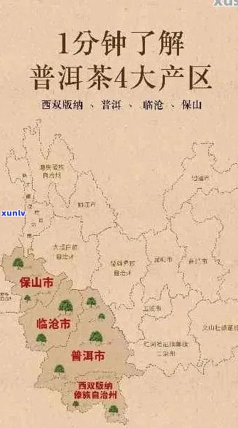 六大普洱茶山全解析：从产地到品种，一网打尽！