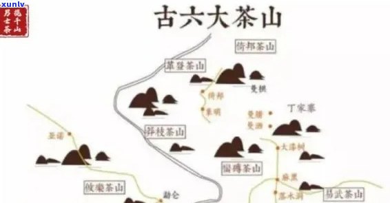 六大普洱茶山全解析：从产地到品种，一网打尽！