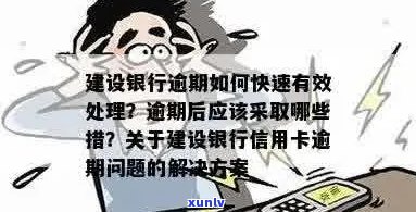 如何应对建行信用卡逾期并超出额度的情况：全面解决用户相关问题