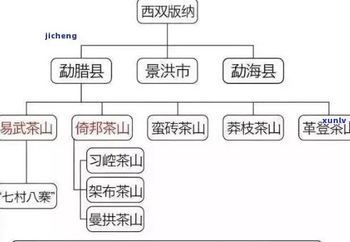 六大普洱茶山全解析：从产地到品种，一网打尽！