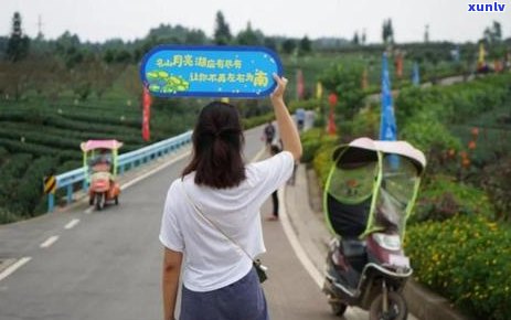 普洱六大茶山各产那种茶详解：六大名山排名及产区介绍