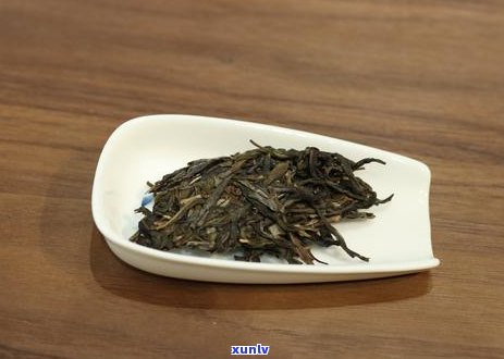 普洱茶购买与品鉴指南：8个关键问题解析，助您成为普洱茶专家