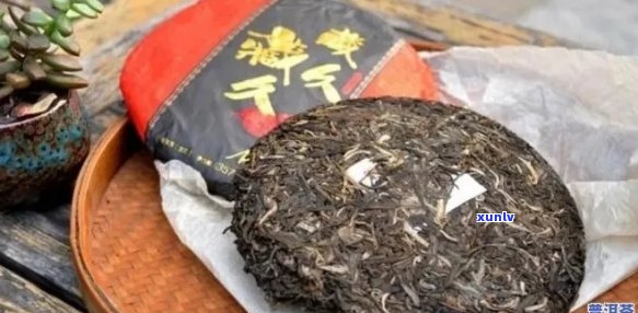 普洱茶的世界：揭秘你所不知道的坑与误区