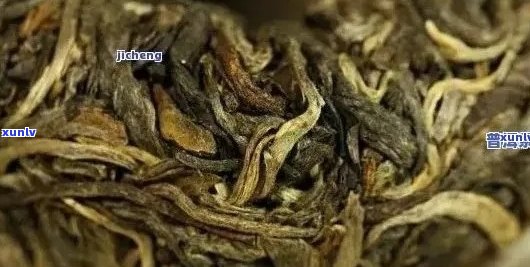 普洱茶的陷阱：如何避免购买到劣质产品？