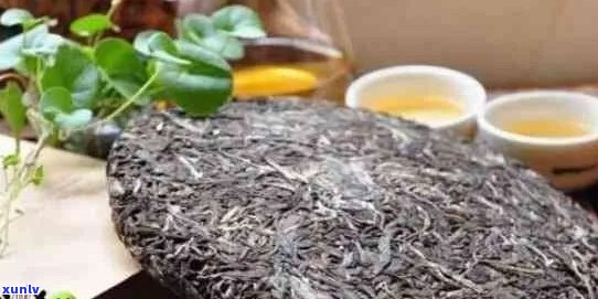 普洱茶8个坑要注意