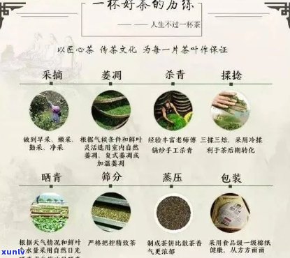 普洱茶8个坑要注意