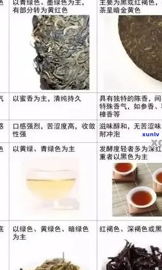 普洱茶切忌不懂装懂：如何挑选与品鉴好茶