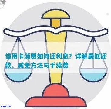 信用卡分期还款手续费解析：如何避免额外费用及更优解决方案