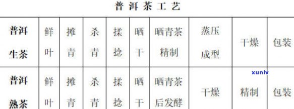 新普洱茶品种之间耐泡度的显著差异及其影响因素探讨