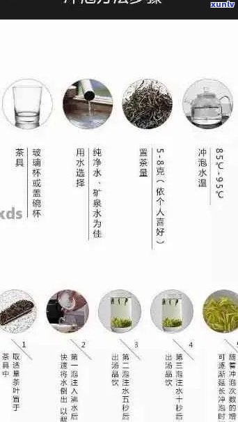 普洱茶泡法与耐泡度：如何选择适合您的茶叶？