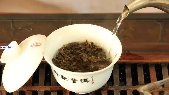 普洱茶耐泡度的区别和标准：探究不同品质普洱茶的冲泡次数和效果