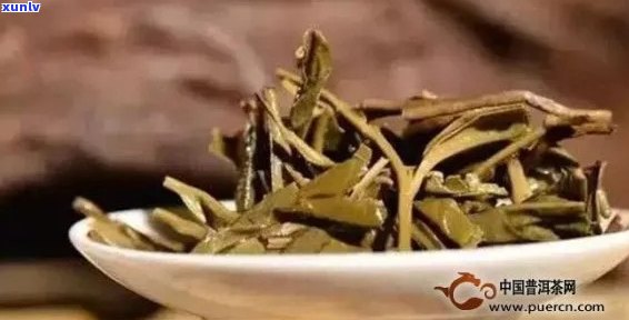 影响普洱茶耐泡程度的关键因素及其科学解释