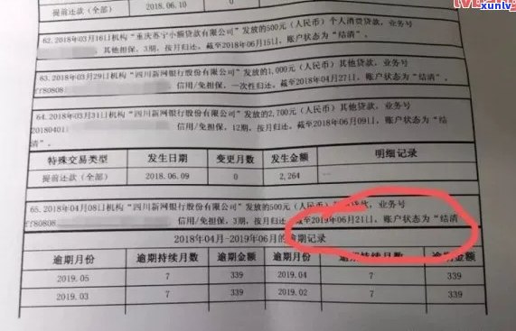 单位信用卡逾期查询记录明细