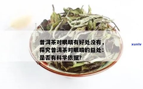 新 '普洱茶对眼睛健的影响及其适用人群分析'