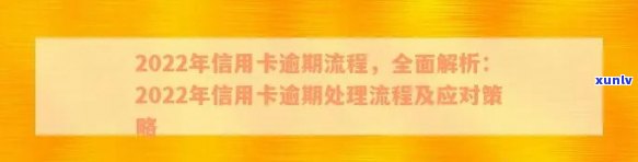 2022年信用卡逾期案例大全：最新分析与解读