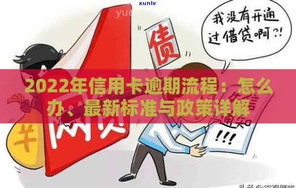 2022年信用卡逾期案例大全：最新分析与解读