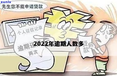 2022年信用卡逾期案例大全：最新分析与解读