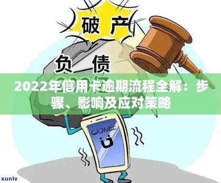 2022年信用卡逾期案例大全：最新分析与解读