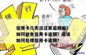 信用卡逾期还款期限：半年是否可行？解答各种逾期情况与解决方案