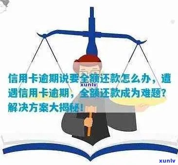 '2022年信用卡逾期处理全攻略：如何规划还款、影响及解决办法一文看懂'