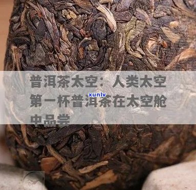 在太空舱中享用普洱茶：体验与注意事项