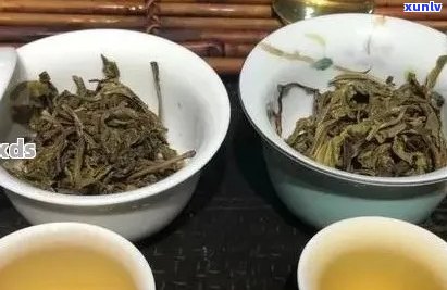 泡普洱茶度最宜：探究泡茶度及注意事项