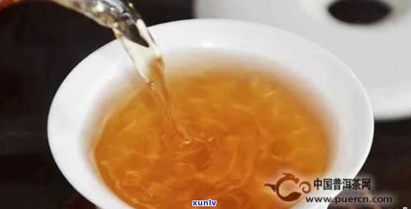 泡普洱茶的水：多少度？