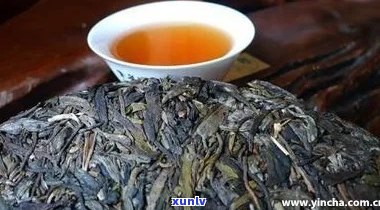 普洱茶的消化作用：喝了普洱茶为什么肚子好饿？