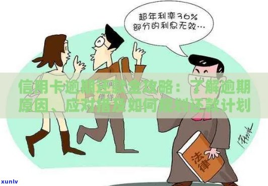 信用卡逾期还款全攻略：如何规划、操作和避免逾期，解决您的后顾之忧！